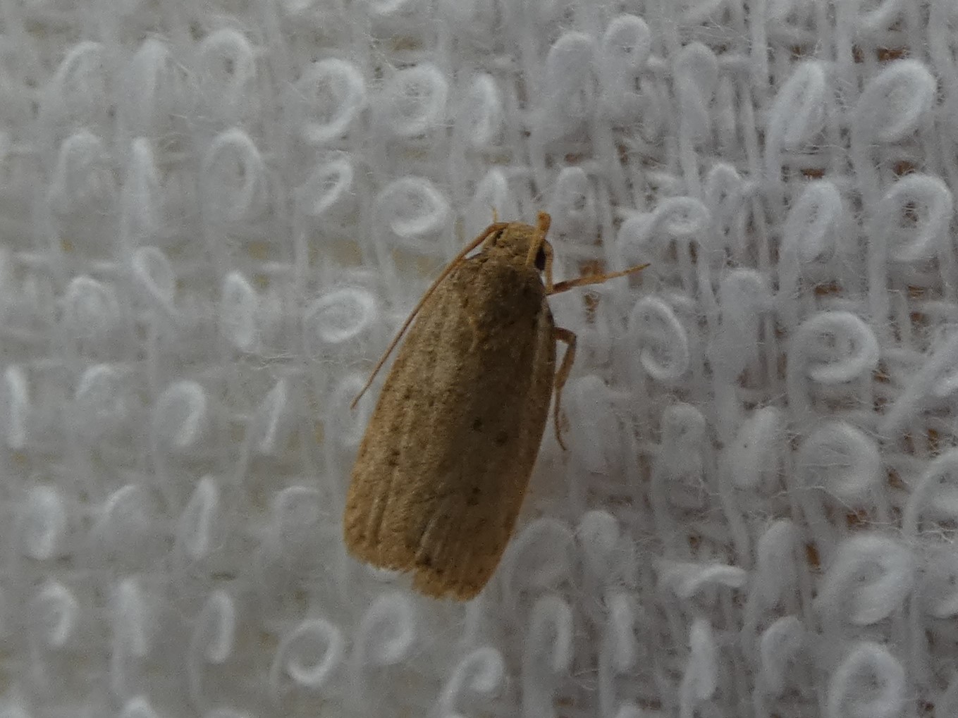 photo_2